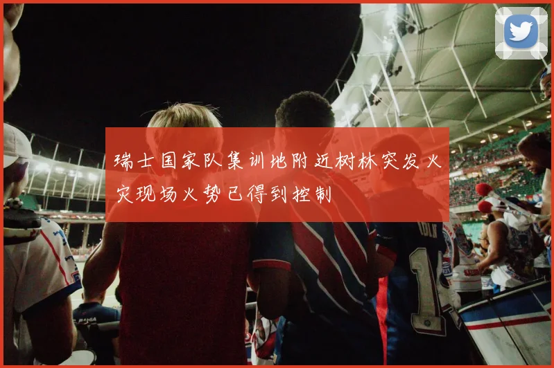 瑞士国家队集训地附近树林突发火灾现场火势已得到控制