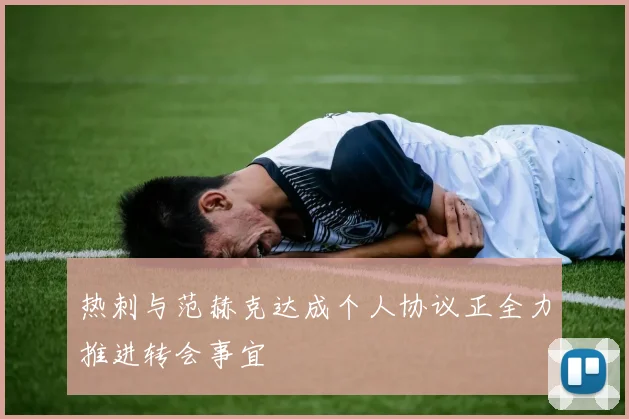 热刺与范赫克达成个人协议正全力推进转会事宜